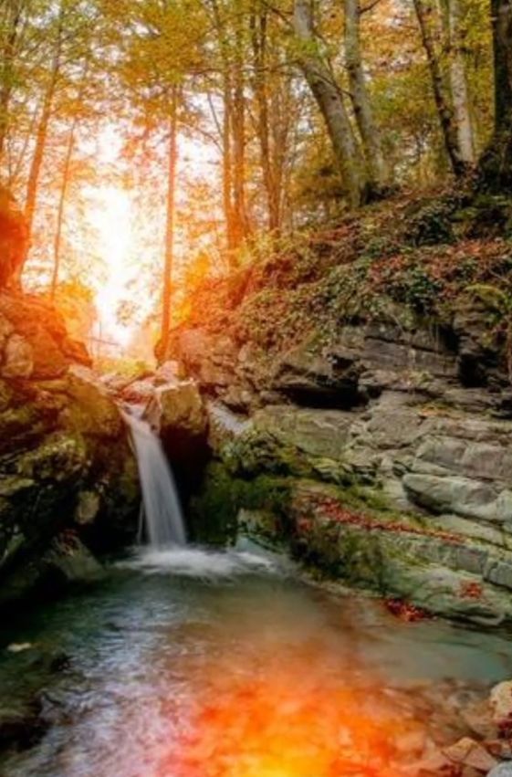 Seduti ad una sorgente di acqua viva... - Con Fabio Alessandri - 11 maggio 2020